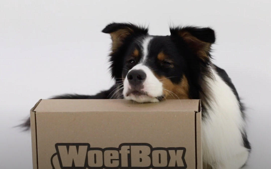 Renske dierenvoeding: Woefbox